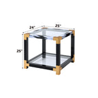 ACME 81002 Lafty End Table, White Brushed & Clear Glass