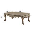 ACME 81040 Ranita Coffee Table, Marble & Champagne