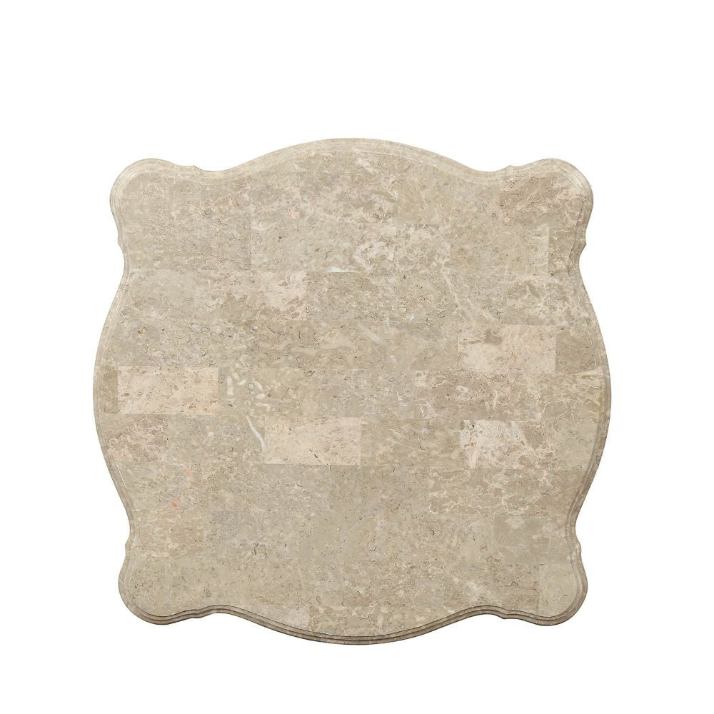 ACME 81042 Ranita End Table, Marble & Champagne