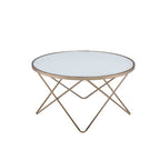 ACME 81825 Valora Coffee Table, Champagne & Frosted Glass