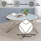 ACME 81825 Valora Coffee Table, Champagne & Frosted Glass  4