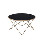 ACME 81830 Valora Coffee Table, Champagne & Black Glass