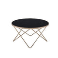 ACME 81830 Valora Coffee Table, Champagne & Black Glass