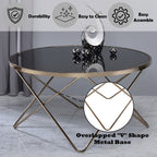 ACME 81830 Valora Coffee Table, Champagne & Black Glass  4