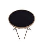 ACME 81832 Valora End Table, Champagne & Black Glass  1