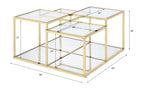 ACME 83470 Uchenna Coffee Table, Clear Glass & Gold Finish