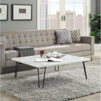 ACME 84500 Telestis Coffee Table, White Marble & Black  1