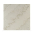 ACME 84500 Telestis Coffee Table, White Marble & Black  2