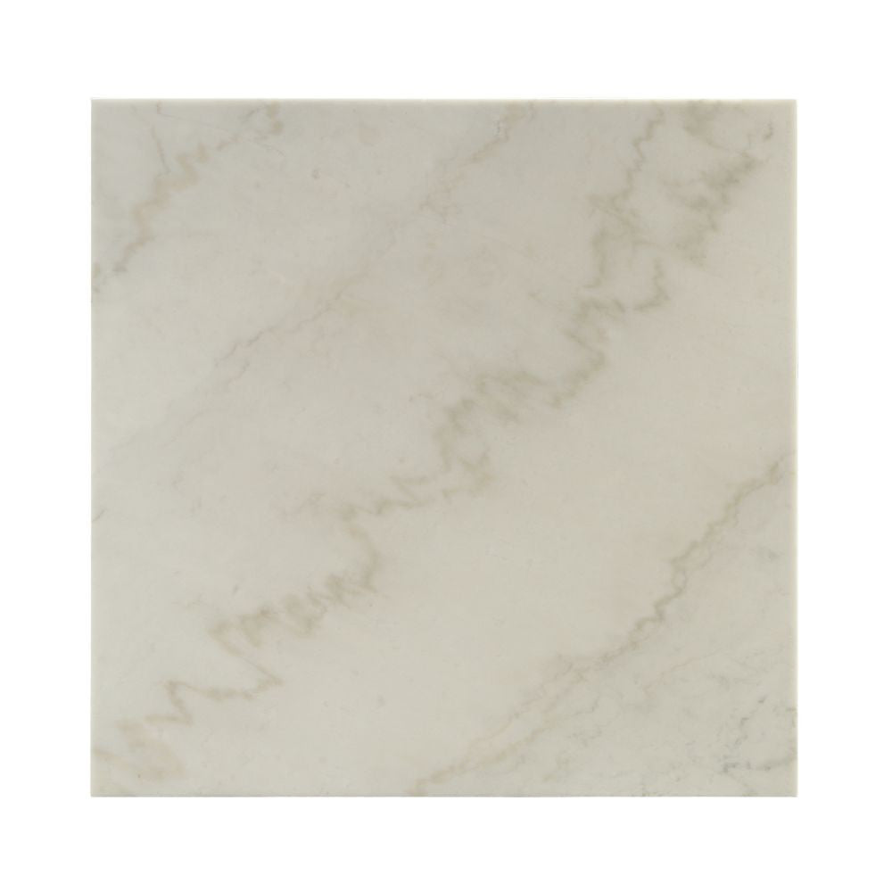 ACME 84500 Telestis Coffee Table, White Marble & Black  2