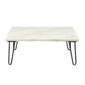 ACME 84500 Telestis Coffee Table, White Marble & Black