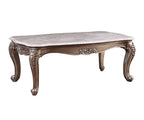 ACME 84865 Jayceon Coffee Table, Marble & Champagne