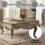 ACME 86030 Ragenardus Coffee Table, Vintage Oak