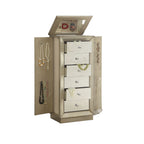 ACME 97172 Talor Jewelry Armoire, Antique Gold
