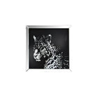 ACME 97316 Talisha Wall Art