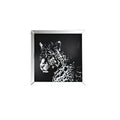 ACME 97316 Talisha Wall Art