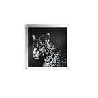 ACME 97316 Talisha Wall Art
