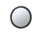 ACME 97392 Noor Accent Mirror (Wall), Mirrored