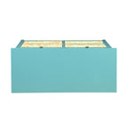 ACME 97418 Flavius Console Table, Teal