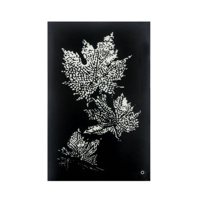 ACME 97716 Hadrias Wall Art with LED, Smoky Glass & Faux Crystal
