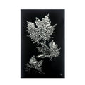 ACME 97716 Hadrias Wall Art with LED, Smoky Glass & Faux Crystal