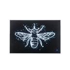 ACME 97717 Vedris Wall Art with LED, Smoky Glass & Faux Crystal