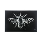ACME 97717 Vedris Wall Art with LED, Smoky Glass & Faux Crystal