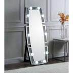 ACME 97759 Noralie Accent Mirror (Floor), Mirrored & Faux Diamonds