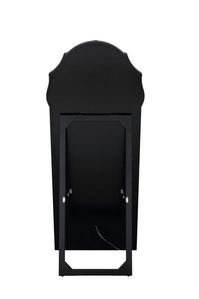 ACME 97983 Noralie Floor Mirror  2