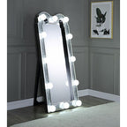 ACME 97985 Noralie Floor Mirror  2