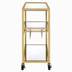 ACME 98354 Adamsen Serving Cart, Champagne & Mirror