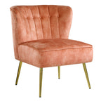 ACME AC00126 Sambell Accent Chair  1