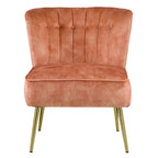 ACME AC00126 Sambell Accent Chair  2