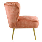 ACME AC00126 Sambell Accent Chair  3