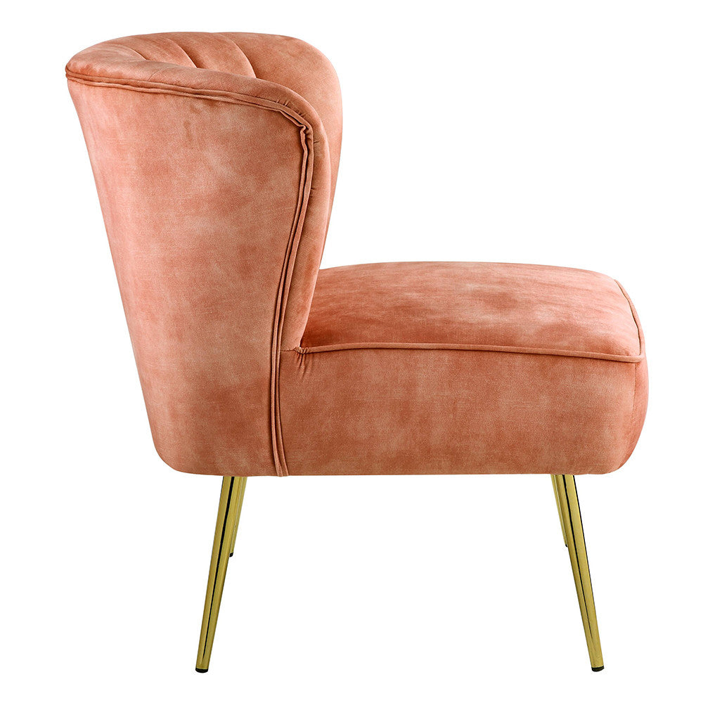 ACME AC00126 Sambell Accent Chair  3