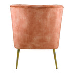 ACME AC00126 Sambell Accent Chair  4