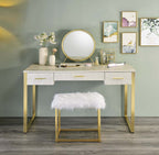 ACME AC00841 Myles Champagne Vanity Set