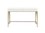 ACME AC00900 Lightmane Vanity Desk  2