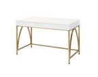 ACME AC00900 Lightmane Vanity Desk  1