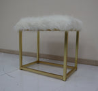 ACME AC00932 Adao Vanity Mirror and Stool  4
