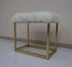 ACME AC00934 Adao Vanity Mirror and Stool  3