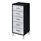 ACME AC01167 Myles Jewelry Armoire  1
