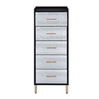 ACME AC01167 Myles Jewelry Armoire  2