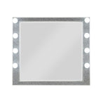 ACME BD00245 Sliverfluff Mirror with Led  1