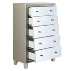 ACME BD00247 Sliverfluff Chest  3