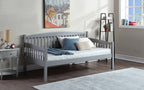ACME BD00380 Caryn Gray Daybed