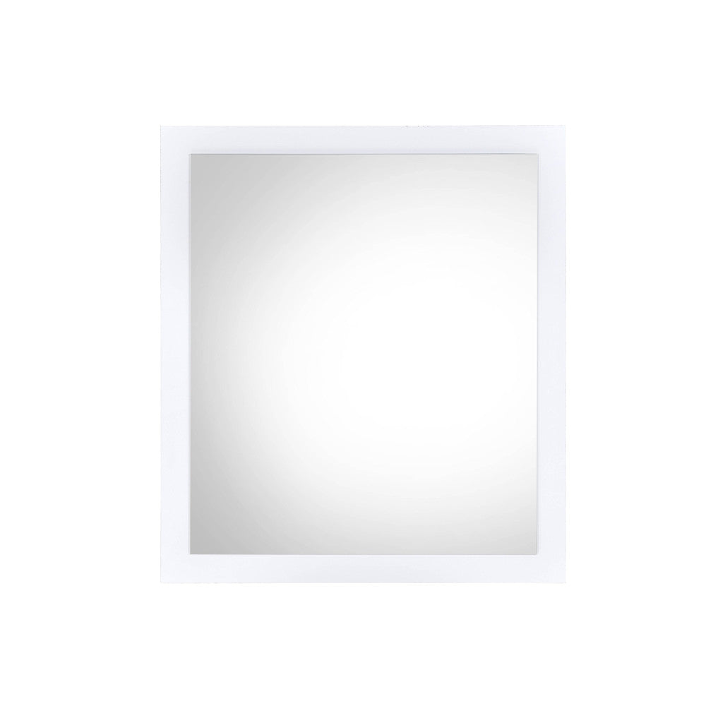 ACME BD00550 Perse Mirror  1
