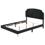 ACME BD01176Q Zeena Queen Bed  1