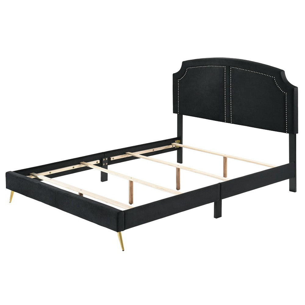 ACME BD01176Q Zeena Queen Bed  1