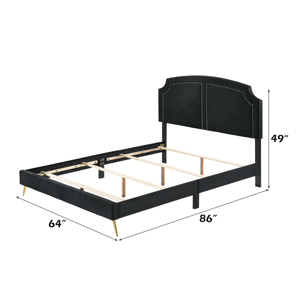 ACME BD01176Q Zeena Queen Bed  5