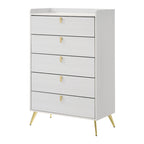 ACME BD01180 Zeena Chest  1